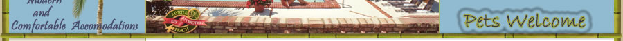 The Myrtle Beach Mariner Motel offers modern and comfortable accomodations. Pets are welcome.